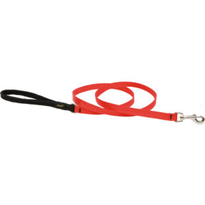 1/2in Red 6ft Leash