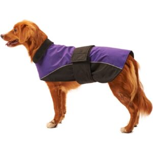 COAT WTRPRF REFLECT PURP SM