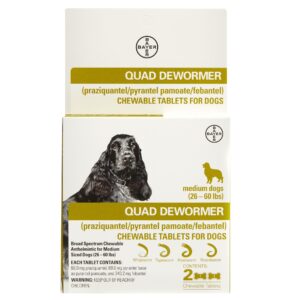 QUAD DEWORMER DOG 68MG 2CT