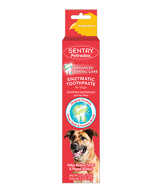 TOOTHPASTE POLT FLAV 2.5OZ