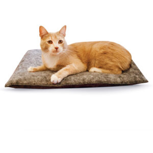 AMAZIN' KITTY PAD 3PK