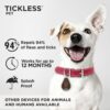TICKLESS PET BLACK - Image 4