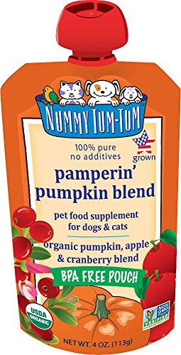 NUMTUM ORG PUMPKIN BLEND 4OZ