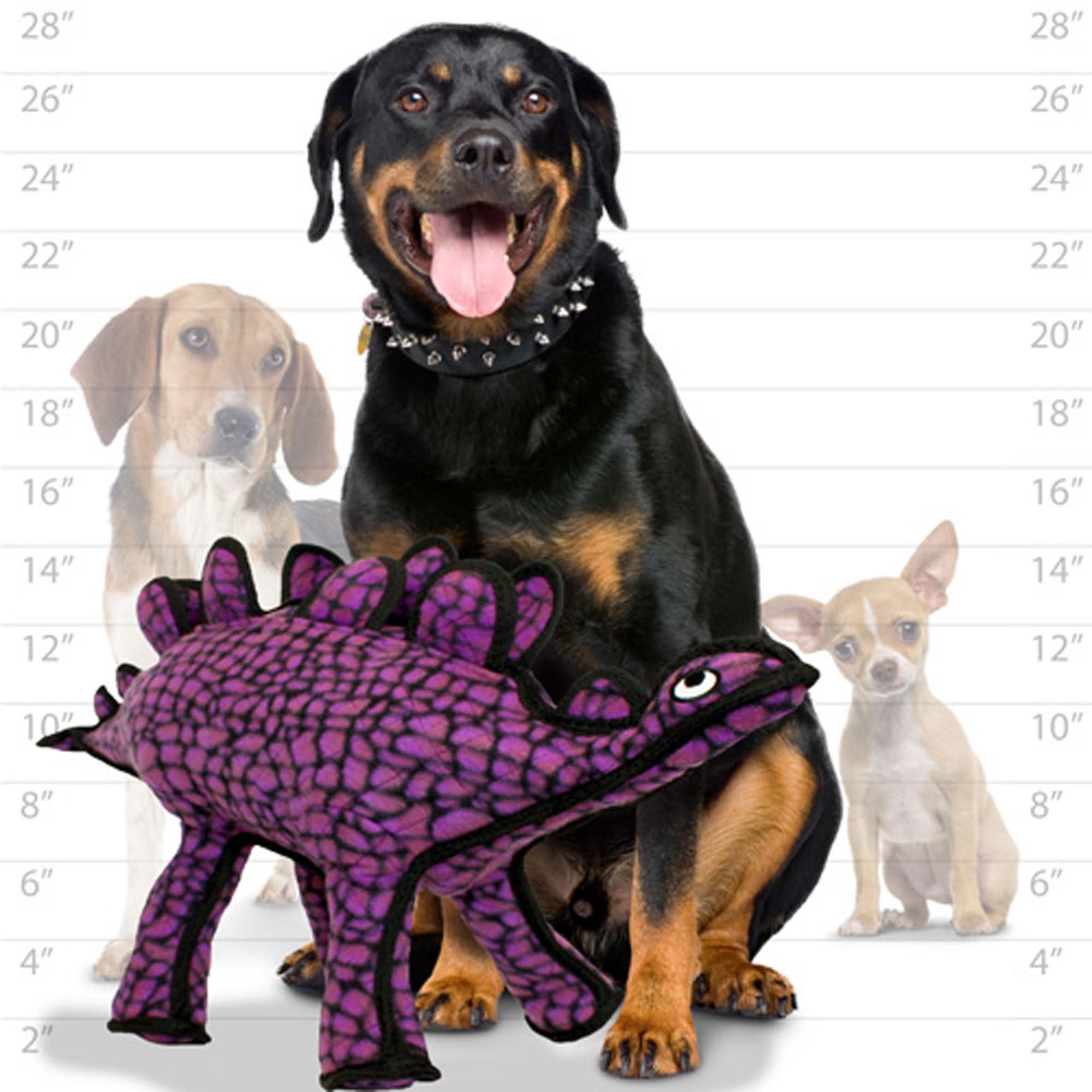 TUFFY DINOSAUR STEGOSAURUS - Image 6