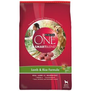 PURINA ONE DOG LAMB/RC 31.1#
