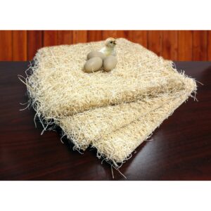 POULTRY PADS 13X13 10PK ASPEN