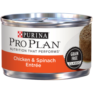 PP SAVOR CKN/SPCH CAT