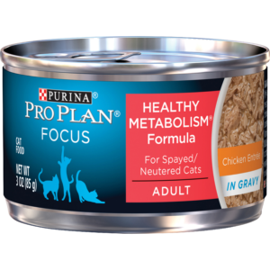 PROPLAN CAT FOCUS CK CAN 3OZ