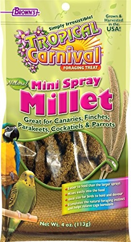 MINI SPRAY MILLET 4OZ 24