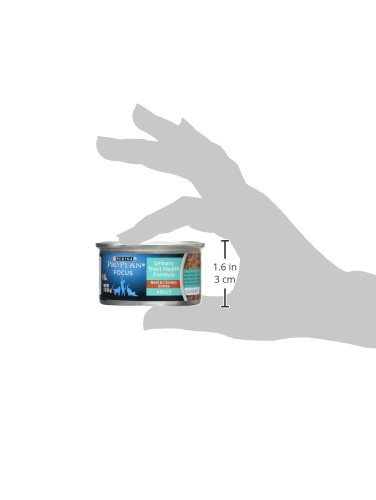 PP FOCUS UTH BF/CKN CAT 3OZ - Image 2