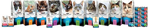 PP FOCUS UTH BF/CKN CAT 3OZ - Image 4