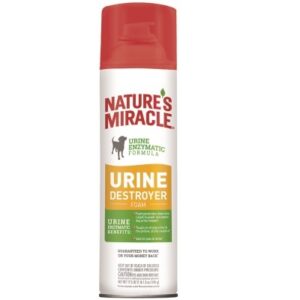 NM URINE DEST FOAM 17.5OZ