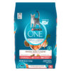 PURINA ONE CAT SLMN&TNA 16LB