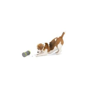 PETSAFE KIBBLE CHASE ROLLER