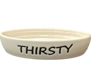 OVAL CAT DISH THIRSTY
