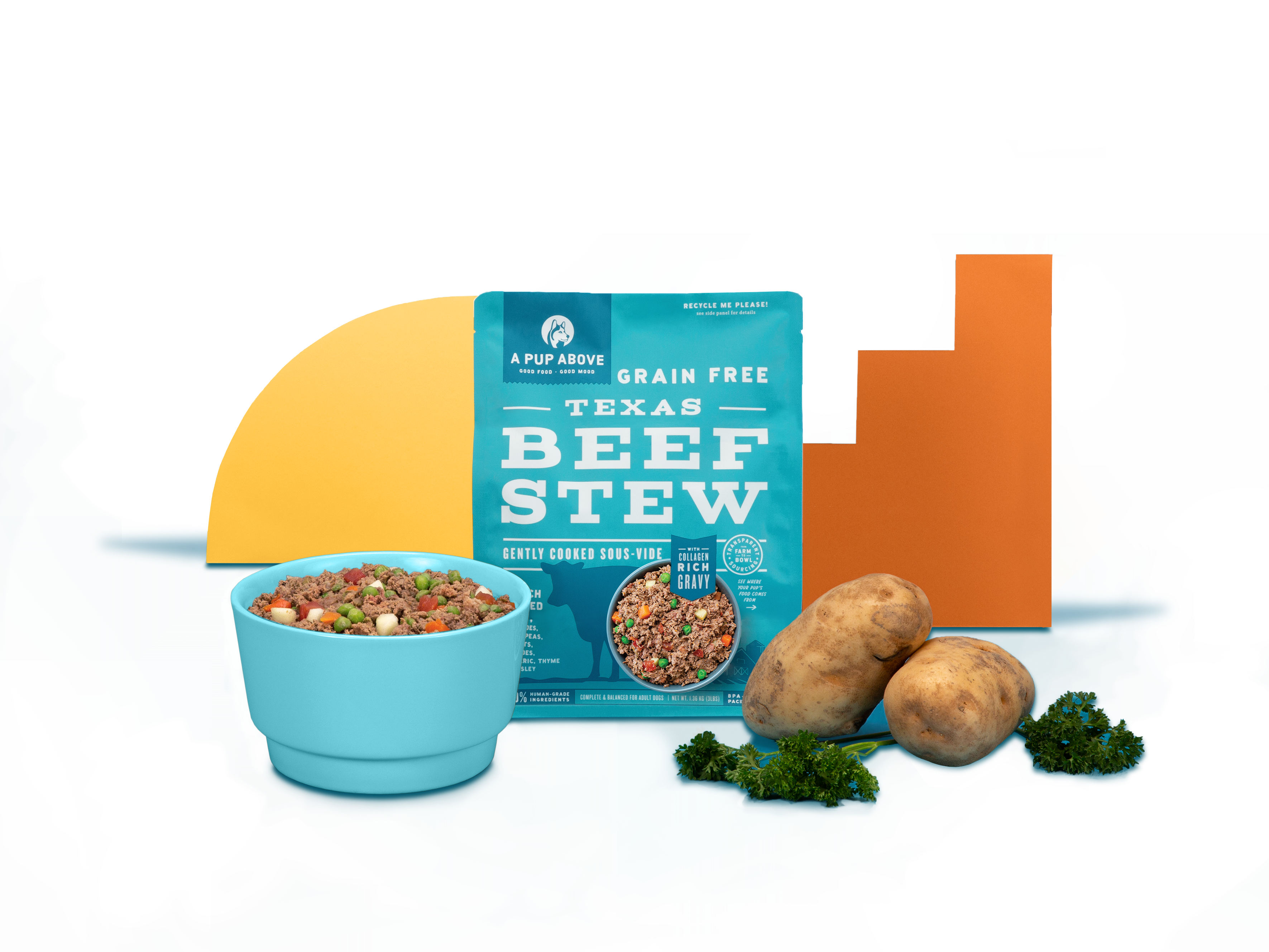 A PUP ABOVE GF TX BF STW 3#