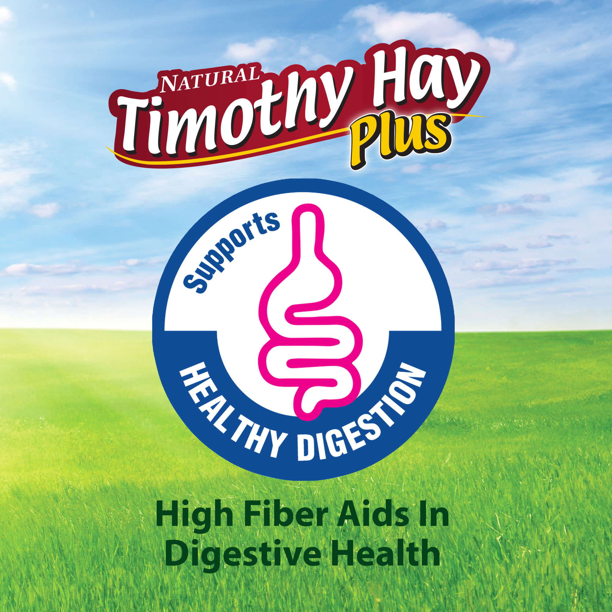 TIM HAY PLUS ROSE/THYME 24OZ - Image 6