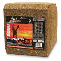 ANI-PROTEIN BLOCK 365 25LB