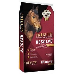 KFI TRIBUTE RESOLVE 50LB
