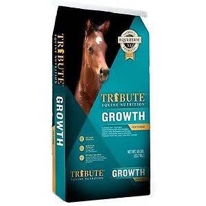 TRIBUTE GROWTH 16% TX 50#