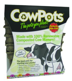 COWPOTS SQUARE 12PK 3IN