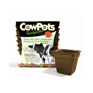 COWPOTS SQUARE 12PK 4IN