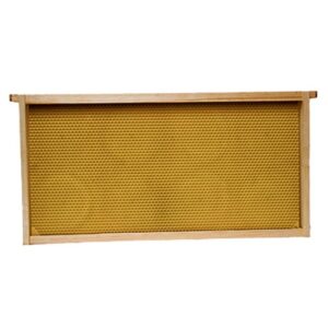 BEE HIVE FRAME DEEP 5PK