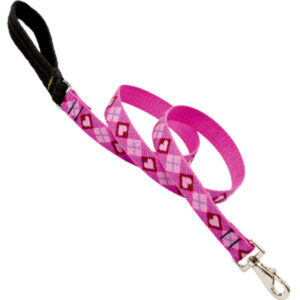 1in Puppy Love 6ft Leash