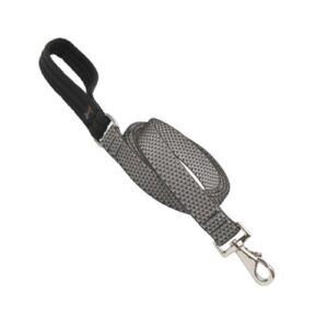 1in Granite 6ft Leash