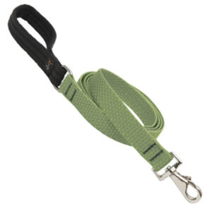 1in Moss 6ft Leash