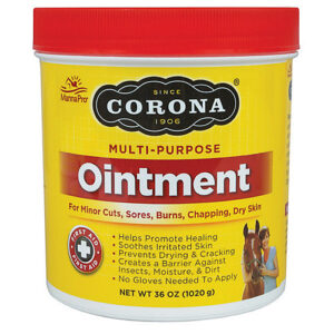 CORONA OINTMENT 36OZ 6