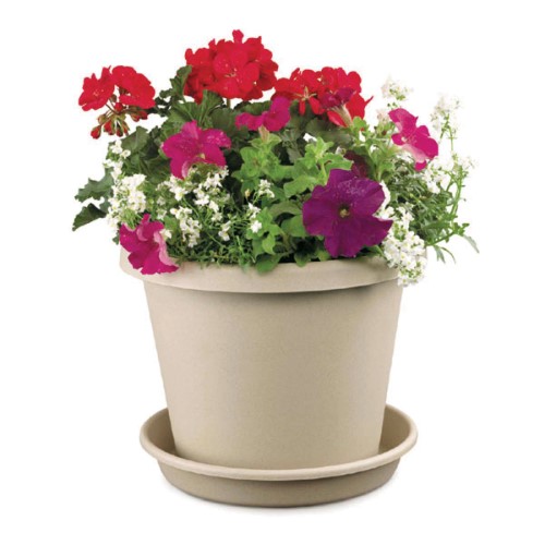 POT PLASTIC CLAY COLORED 6IN