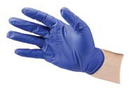 TRUEBLUE NITRILE PWD-FREE LG