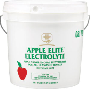 ELECTROLYTES APPLE 20 LB