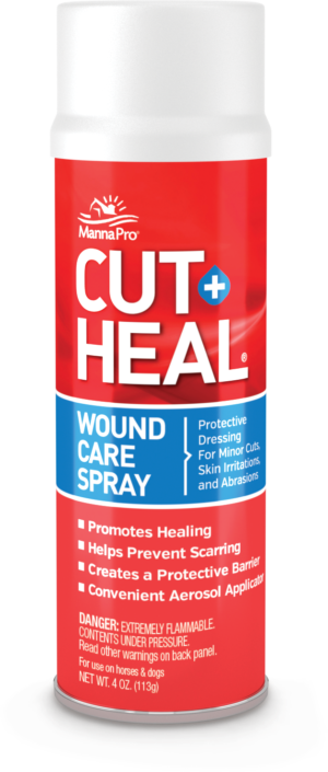 CUT HEAL AEROSOL 4OZ 12