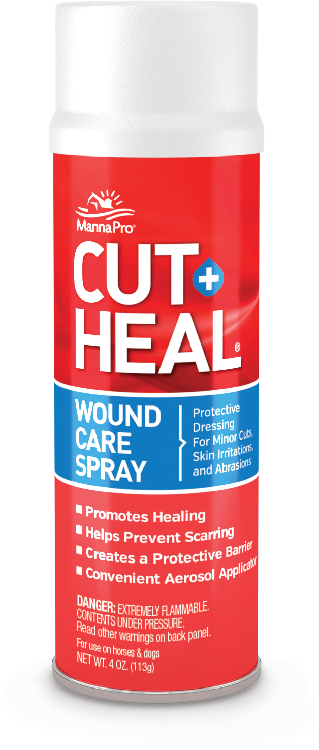 CUT HEAL AEROSOL 4OZ 12