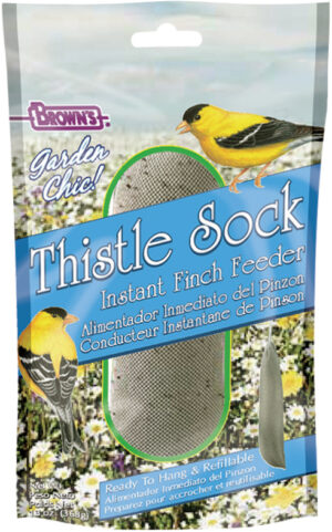 BLB THISTLE SOCK FINCH