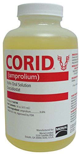 CORID 9.6% SOLUTION 16 OZ