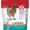 LAYENA CRUMBLE 10LB LAYER