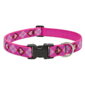 1in Puppy Love 12-20 Adj Collar