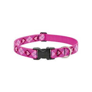 1in Puppy Love 16-28 Adj Collar