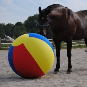 MEGA BEACHBALL COVER 25"