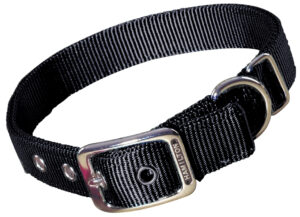 DD DOG COLLAR 1 X 22 DG