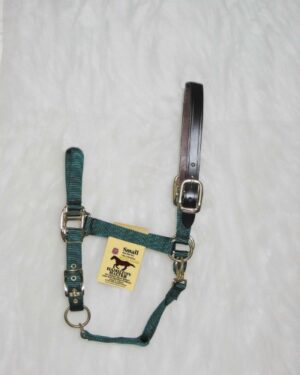 HALTER W/LEATHER SM HNTR GRN