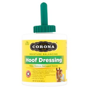 CORONA HF DRESG W/BRSH 32OZ