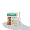 TRIPLE WORMER LARGE DOG 2 CT