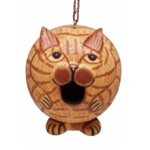 GORD-O BIRD HOUSE ORG TABBY