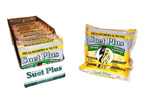 SUET PLUS MEALWORM/NUT 11OZ