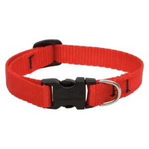 1in Red 12-20 Adj Collar