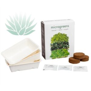 LANTERNFLY SPRAY 22OZ